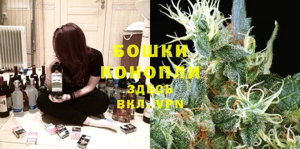 хмурый Аркадак