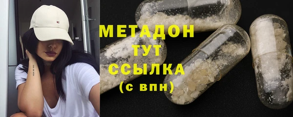 хмурый Аркадак