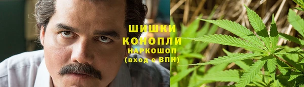 хмурый Аркадак