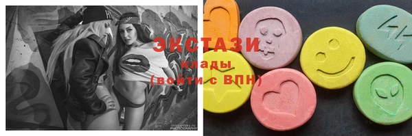 хмурый Аркадак