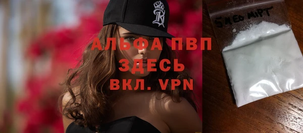хмурый Аркадак