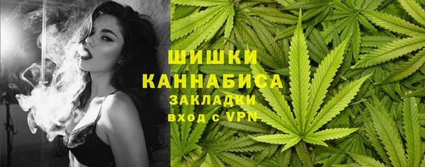хмурый Аркадак