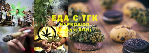хмурый Аркадак