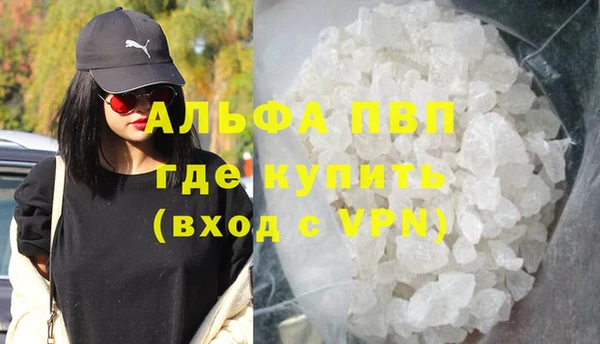 хмурый Аркадак
