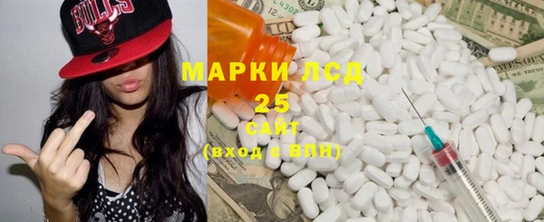 хмурый Аркадак